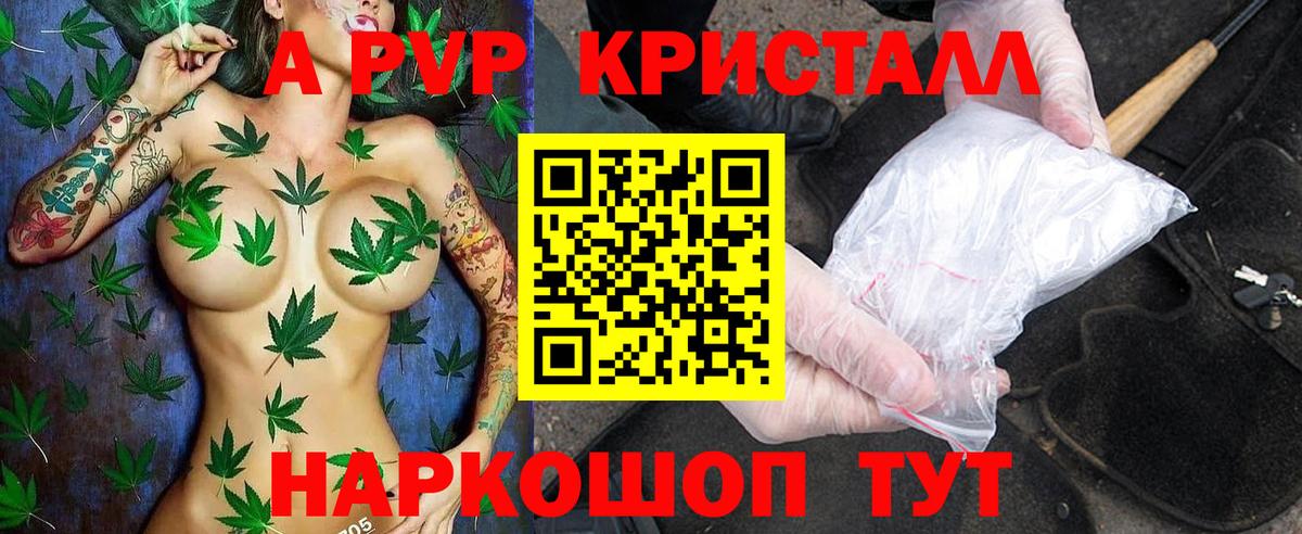 Alfa_PVP СК Советская Гавань