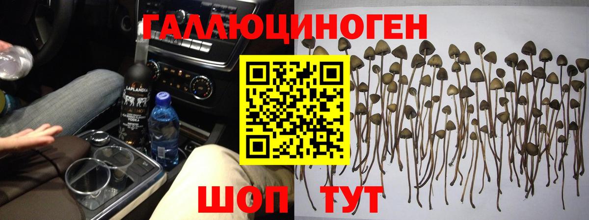 Галлюциногенные грибы ЛСД Советская Гавань