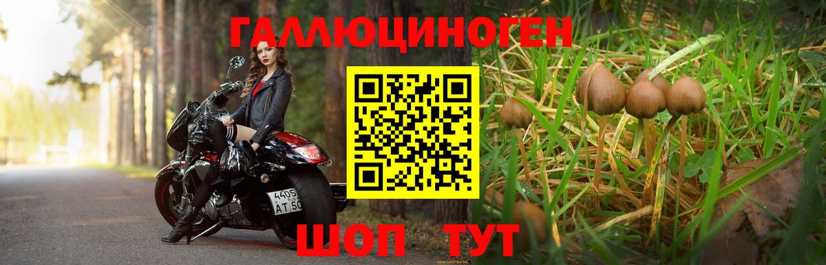 Галлюциногенные грибы мицелий  Вход с VPN  Советская Гавань  Псилоцибиновые грибы ЛСД 